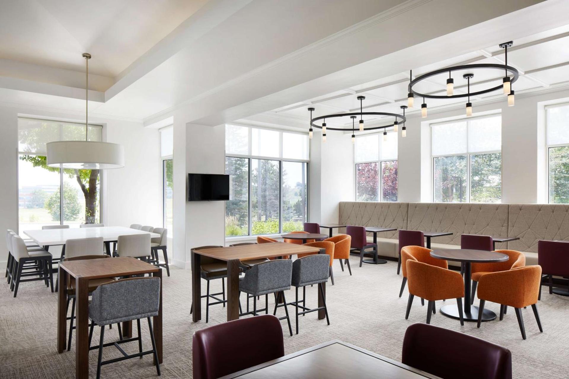 Hilton Garden Inn Denver South Park Meadows Area photo 9