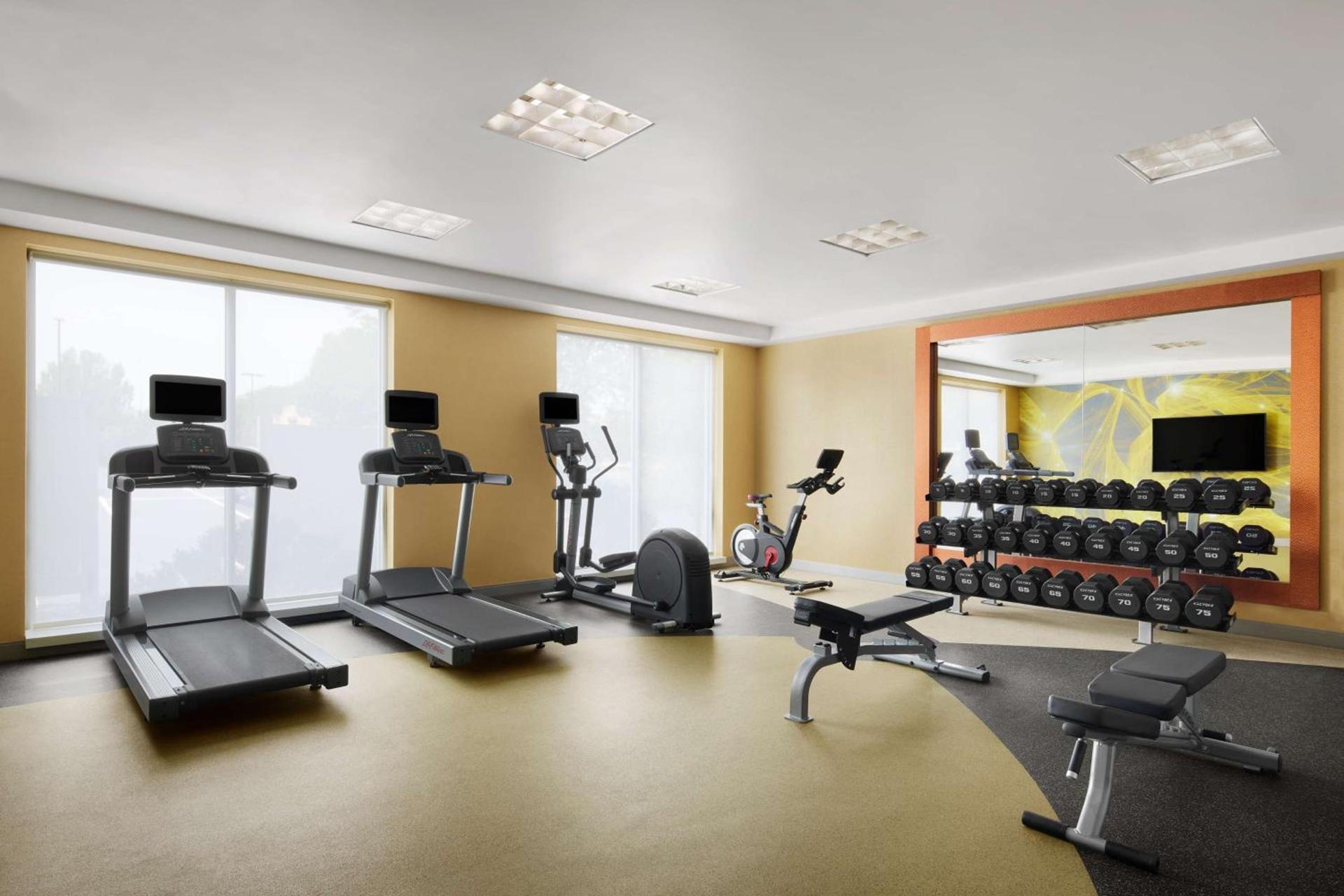 Hilton Garden Inn Denver South Park Meadows Area photo 10