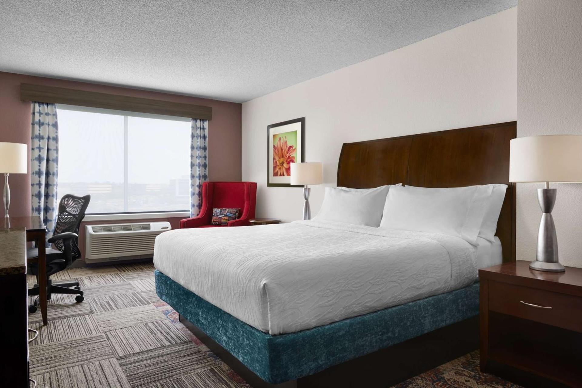 Hilton Garden Inn Denver South Park Meadows Area photo 28