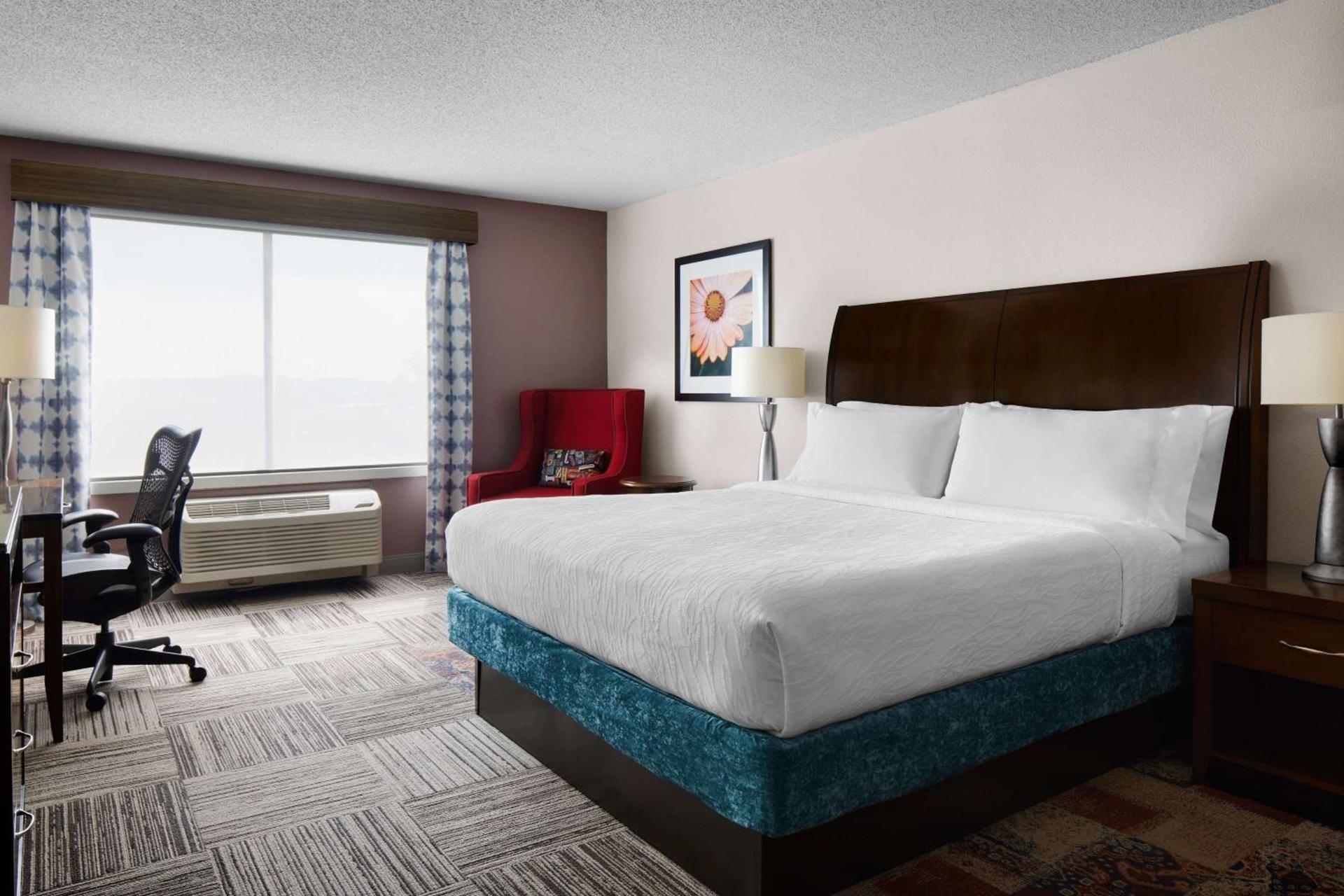 Hilton Garden Inn Denver South Park Meadows Area photo 13
