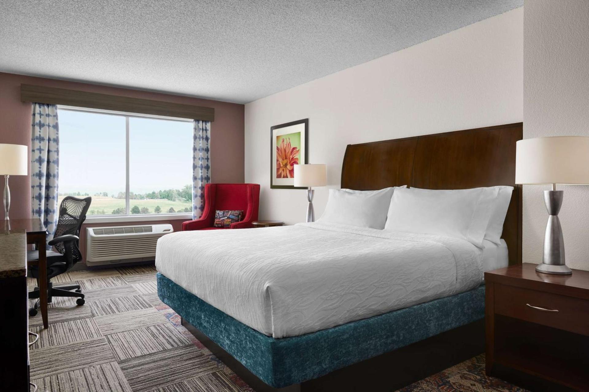 Hilton Garden Inn Denver South Park Meadows Area photo 19