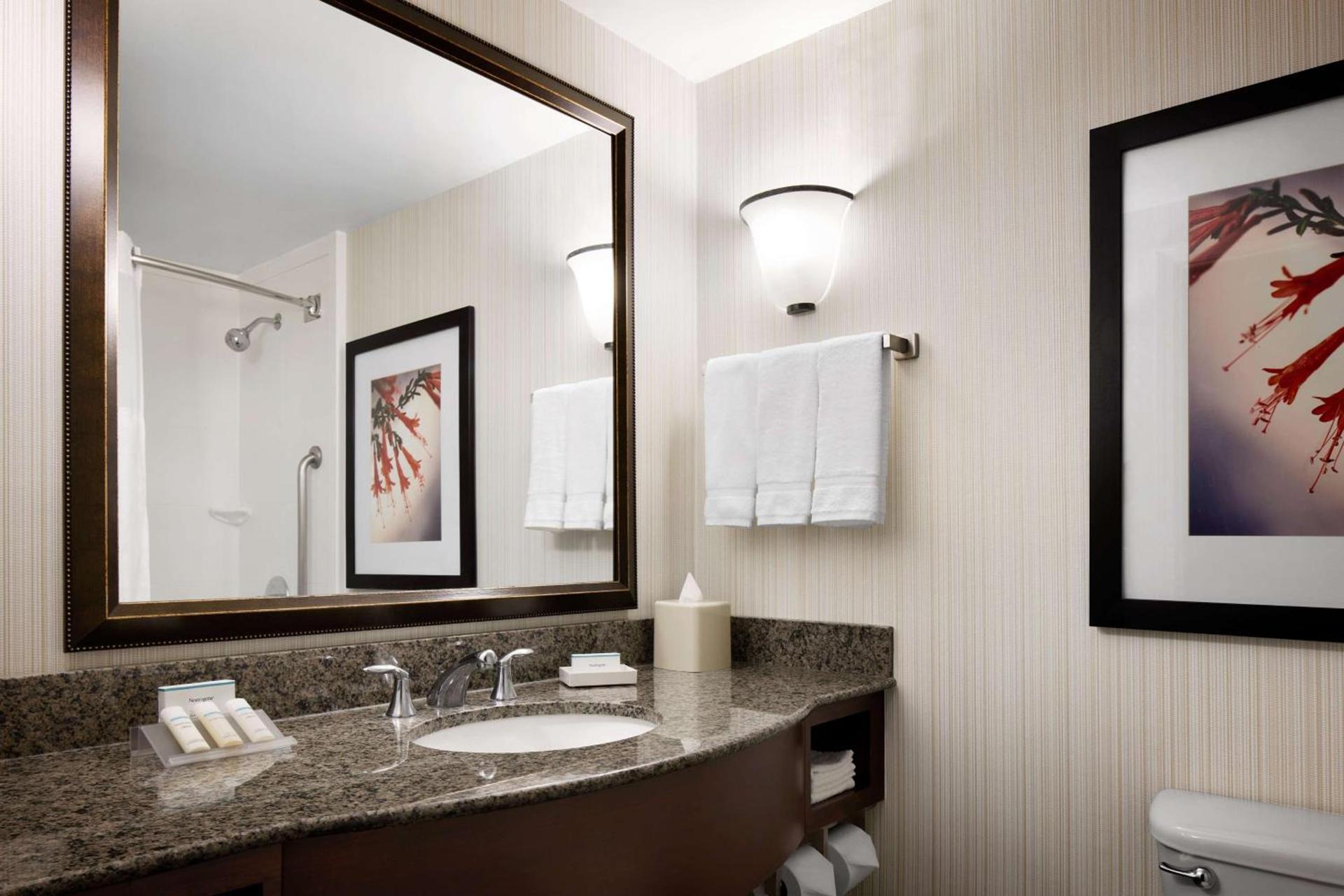 Hilton Garden Inn Denver South Park Meadows Area photo 16