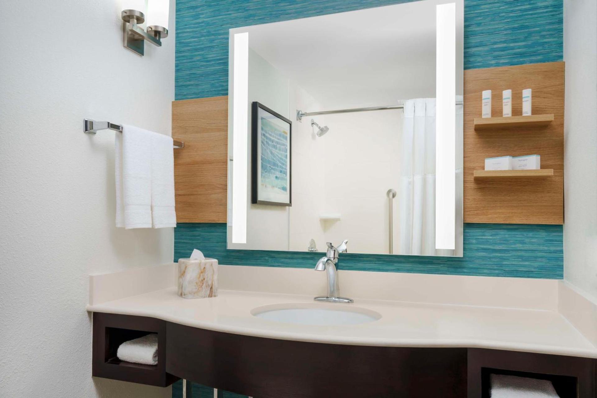 Hilton Garden Inn Orlando at SeaWorld photo 13