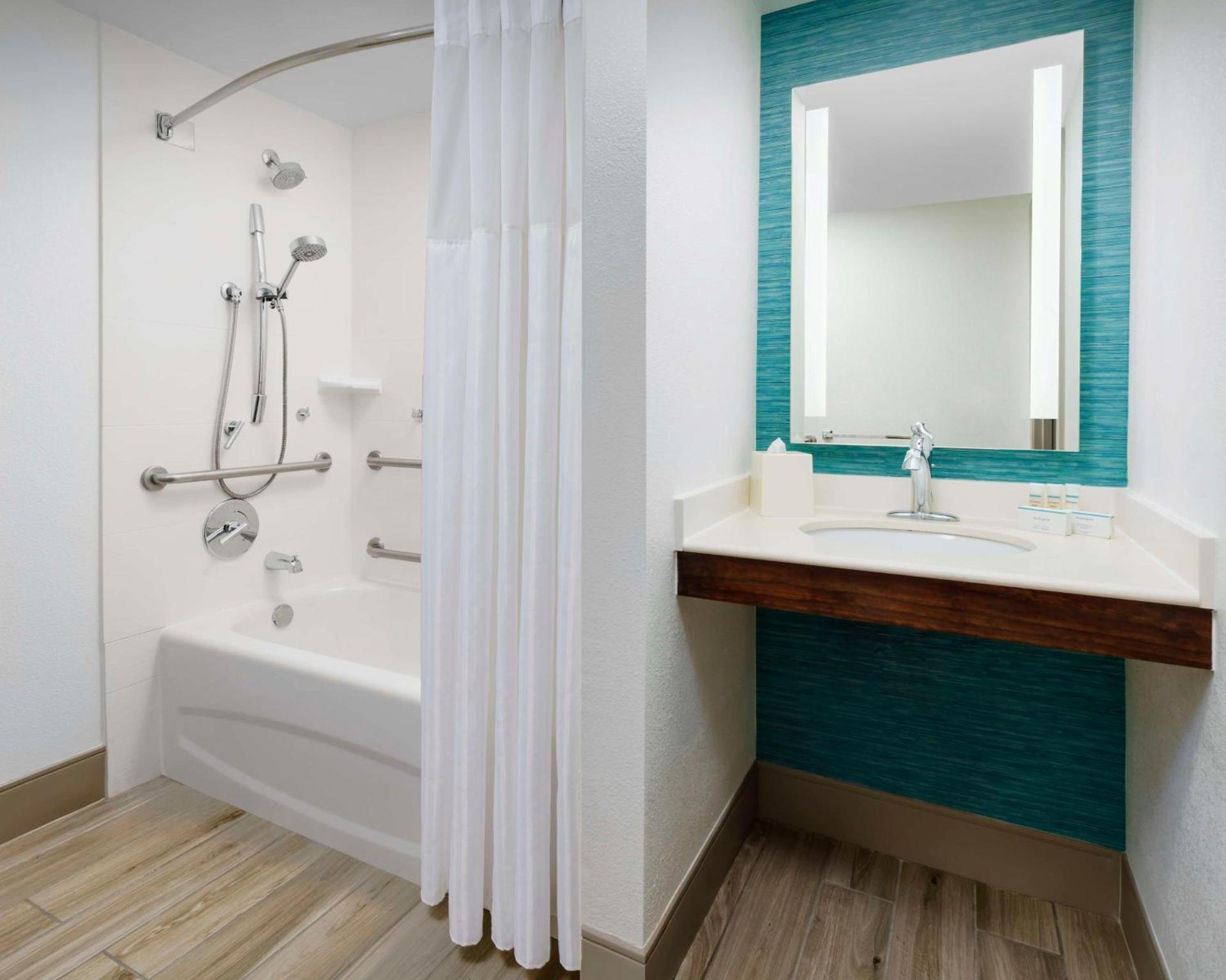 Hilton Garden Inn Orlando at SeaWorld photo 17