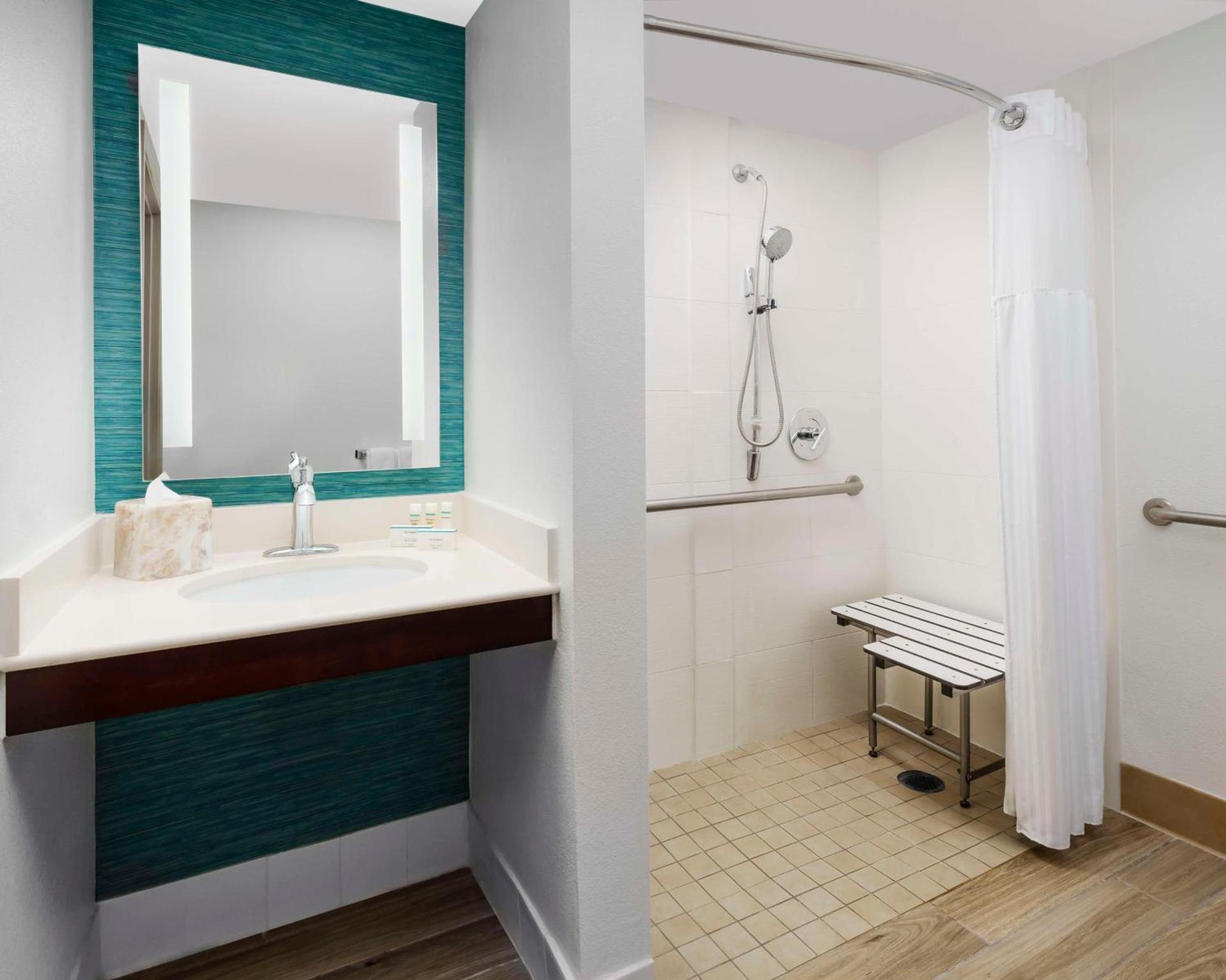 Hilton Garden Inn Orlando at SeaWorld photo 18