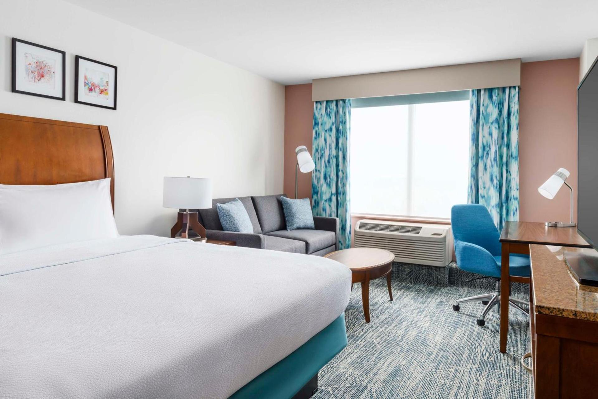 Hilton Garden Inn Orlando at SeaWorld photo 19