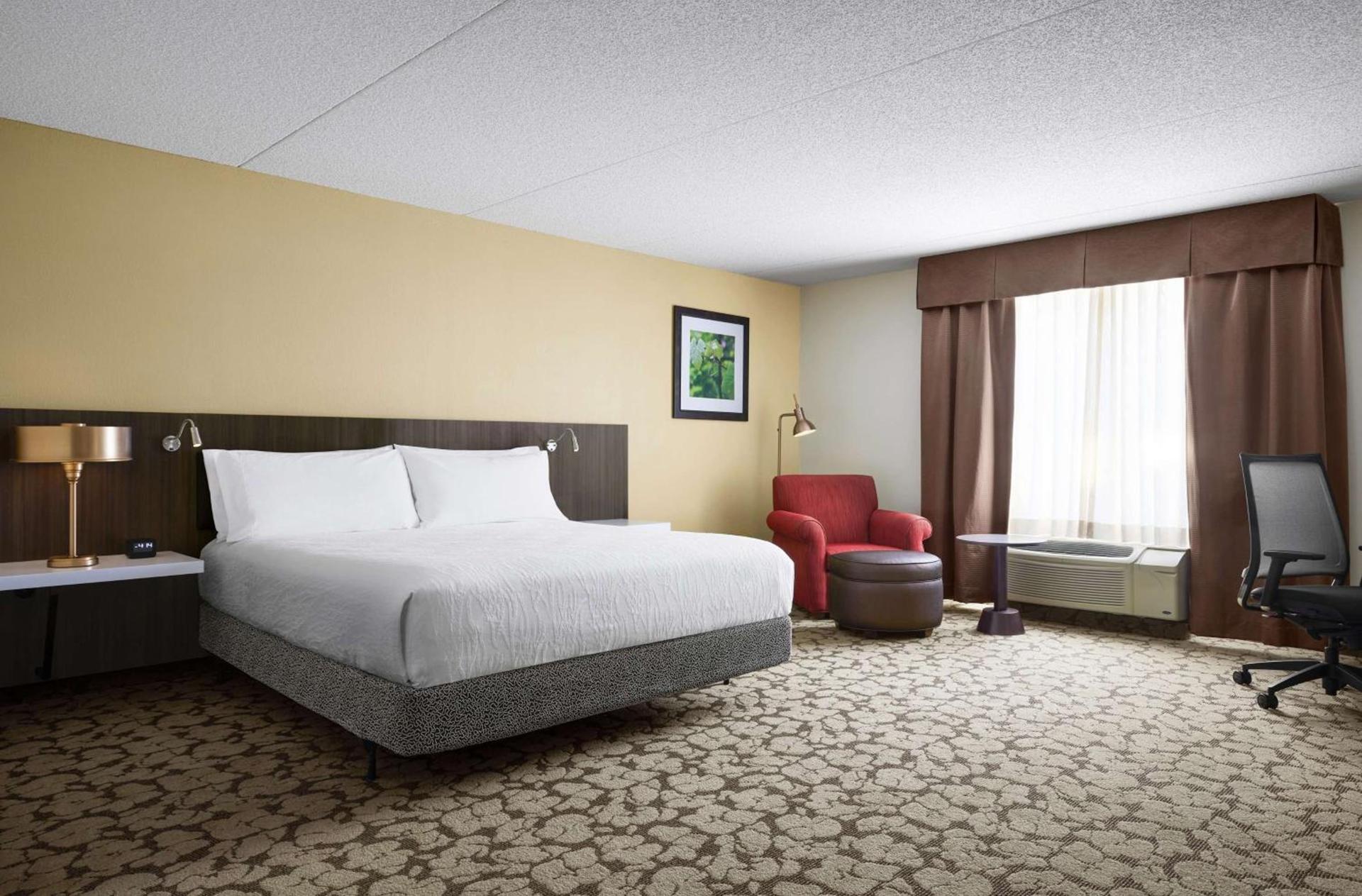 Hilton Garden Inn Providence Airport/Warwick photo 16