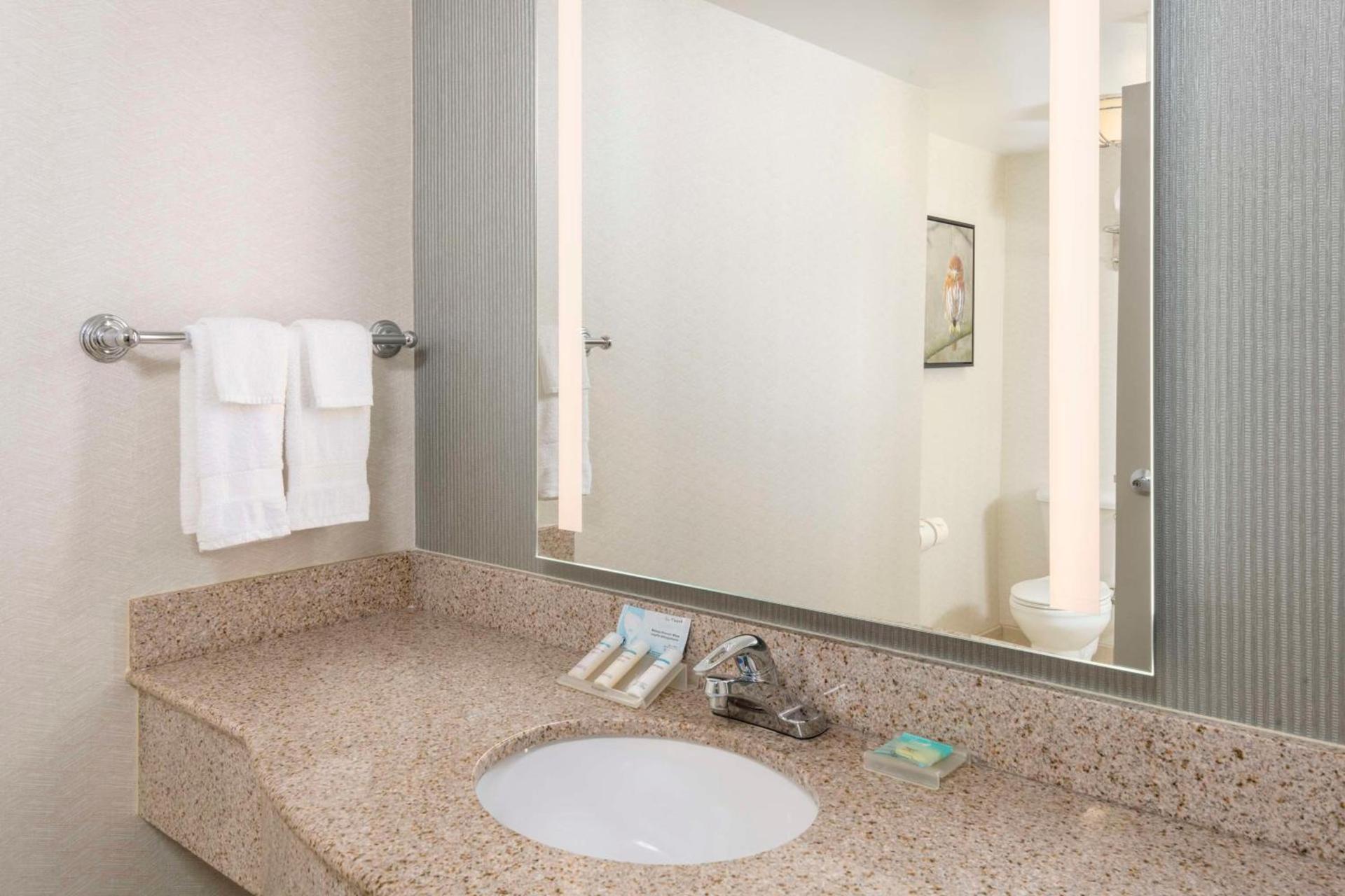 Hilton Garden Inn Scottsdale North/Perimeter Center photo 23
