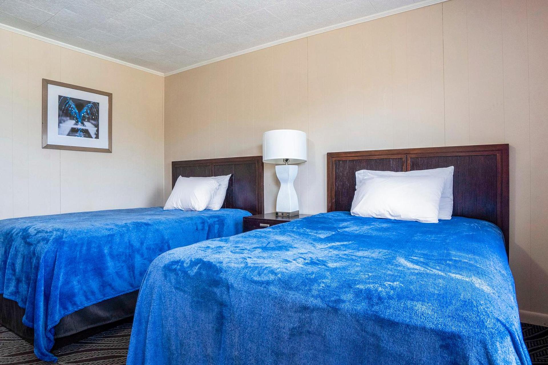 OYO Hotel Opp AL, Floral Hwy photo 6