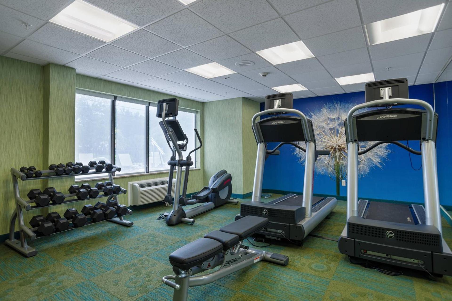 SpringHill Suites St Petersburg Clearwater photo 15