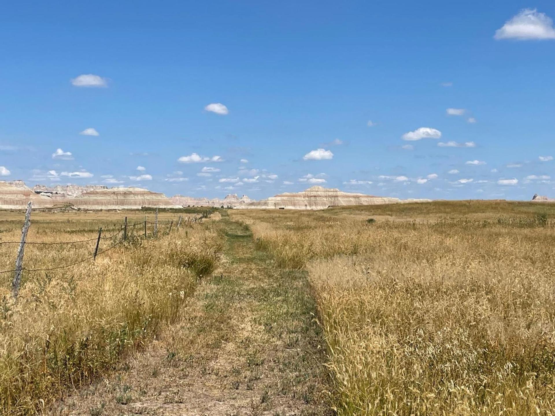 Badlands Hotel & Campground photo 24