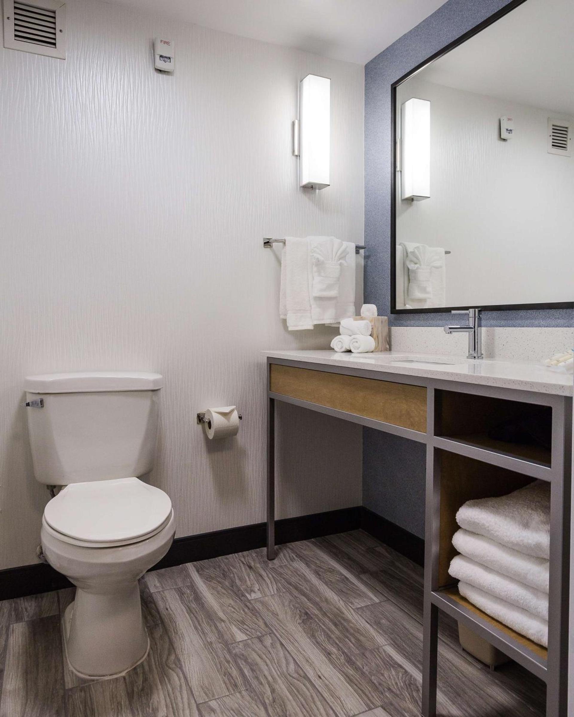 Hilton Garden Inn Atlanta North/Johns Creek photo 18