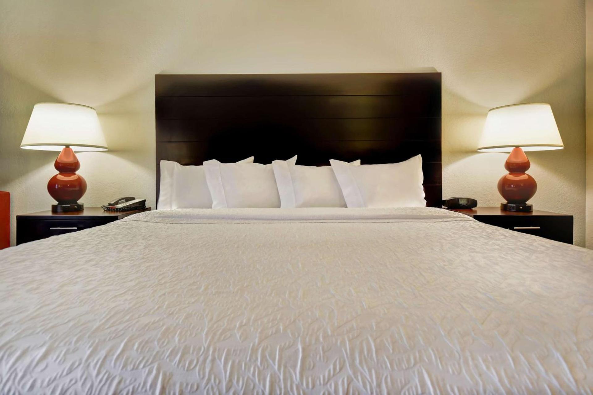 Hampton Inn Starkville Mississippi State University photo 20
