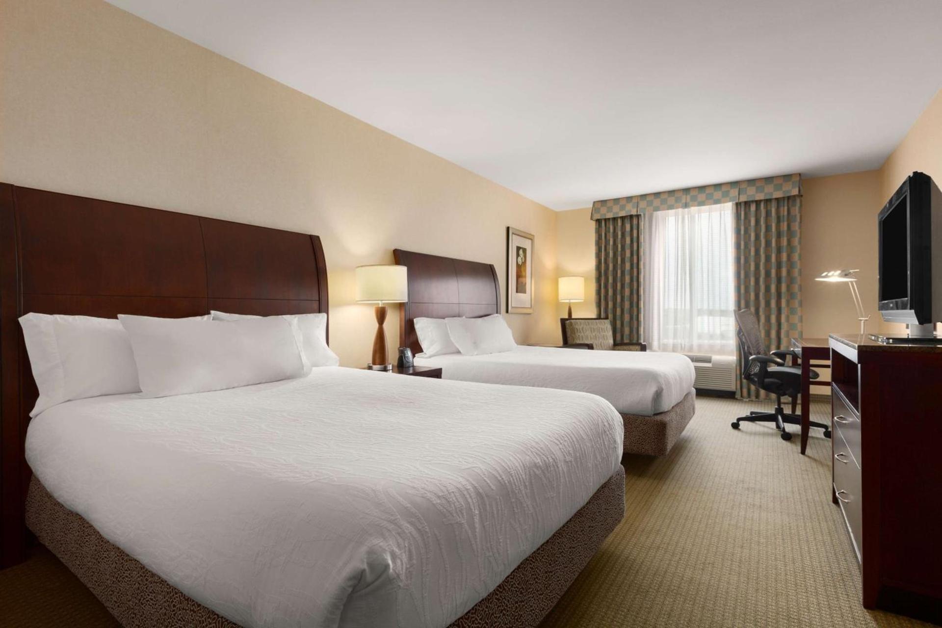 Hilton Garden Inn Dulles North photo 37