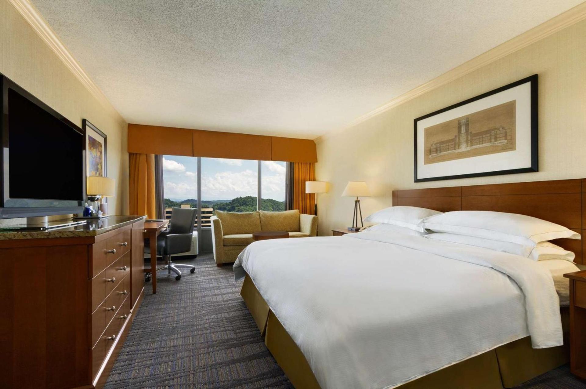 Hilton Knoxville photo 16