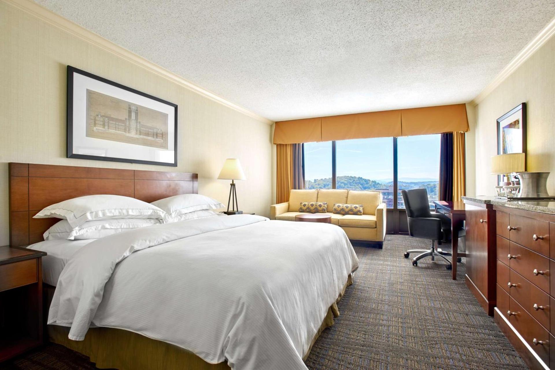 Hilton Knoxville photo 29