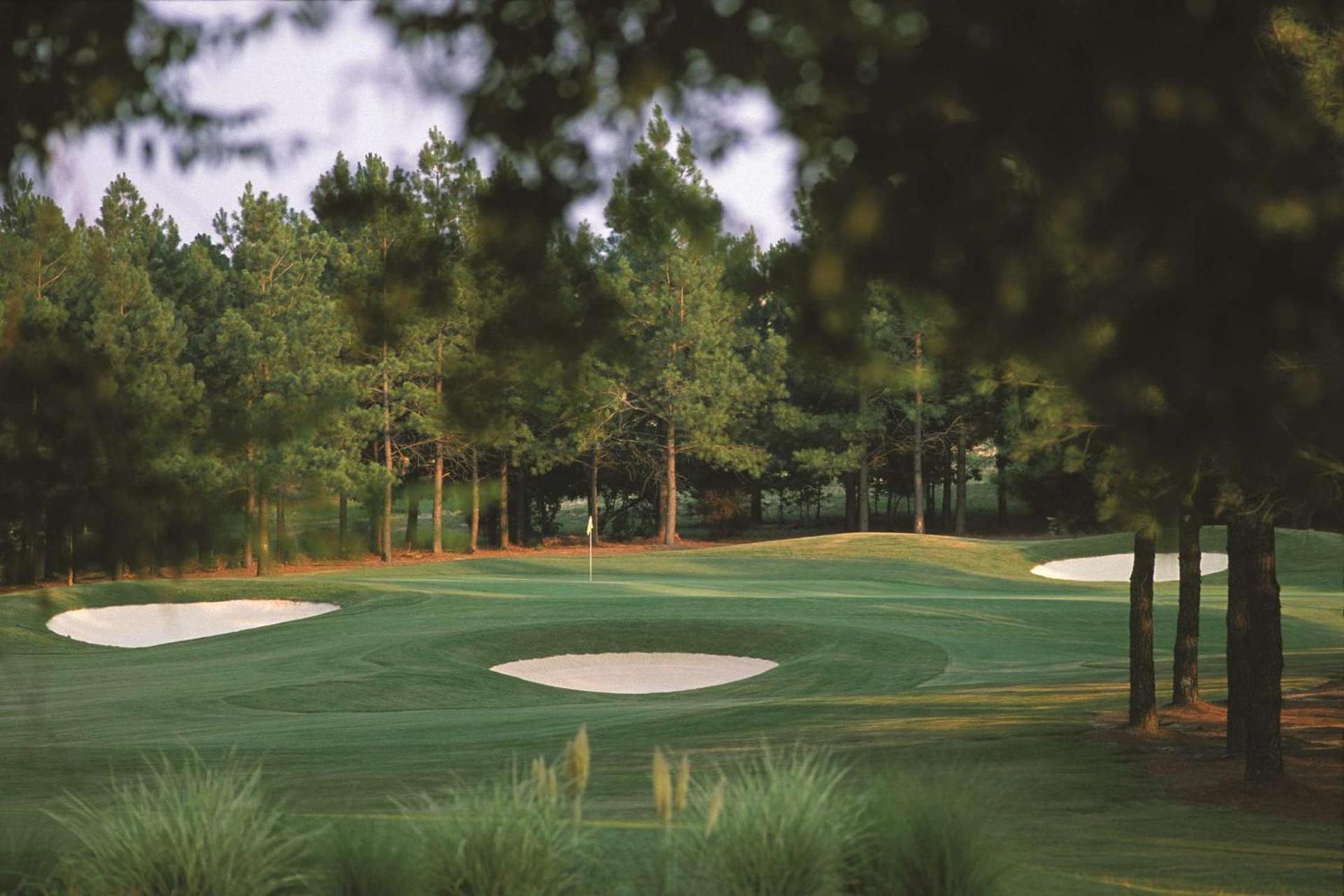 Hilton Raleigh North Hills photo 44