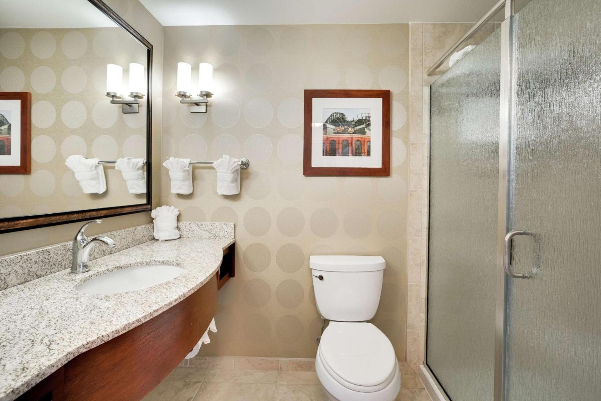Hilton Garden Inn Milwaukee Airport photo 27