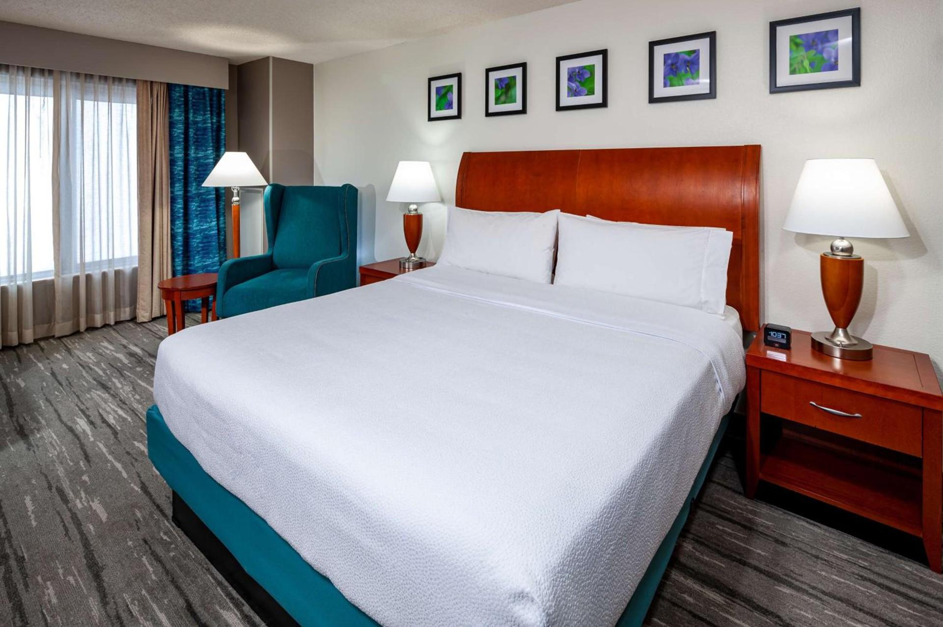 Hilton Garden Inn Chicago O'Hare Airport photo 19