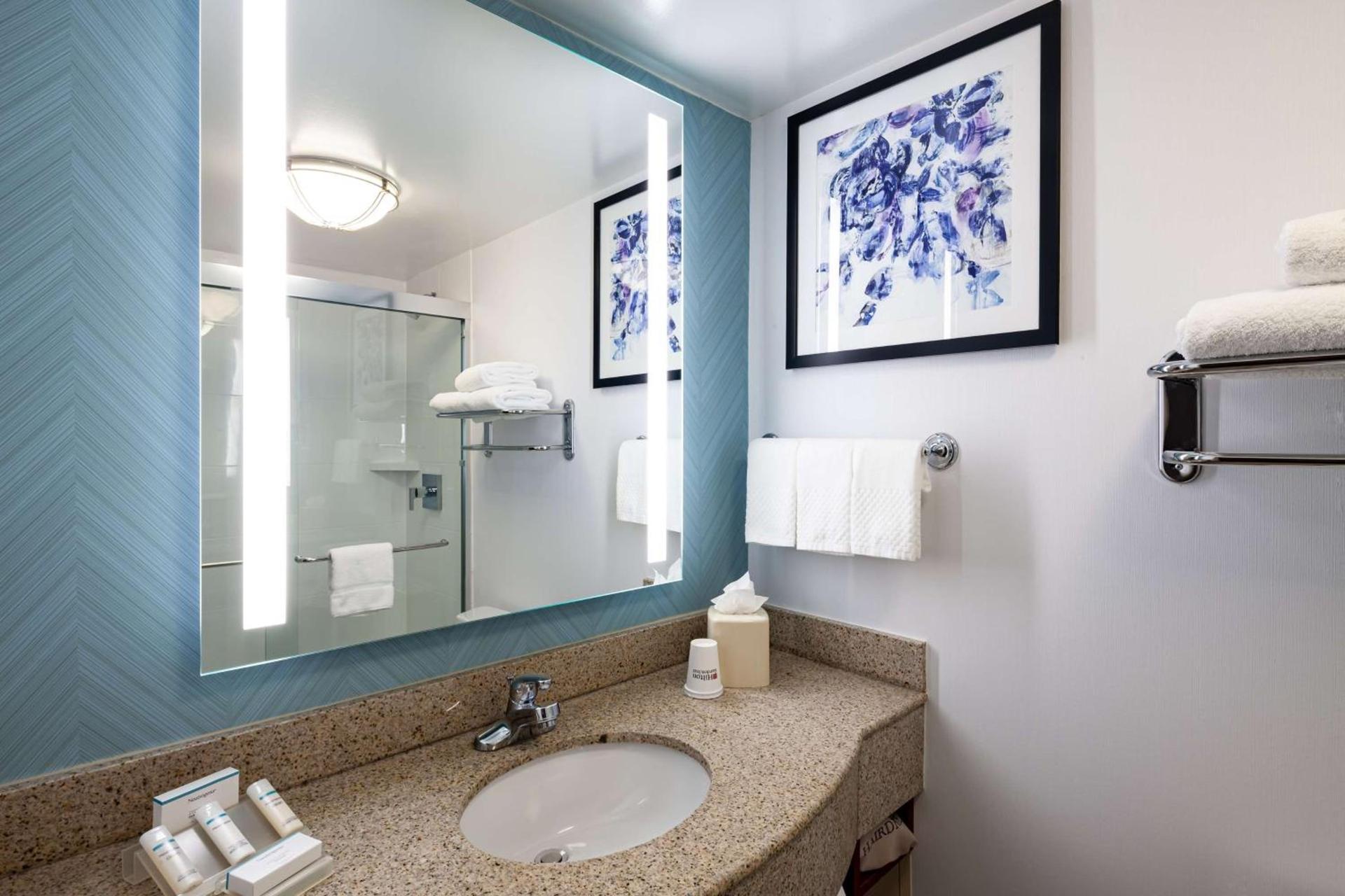 Hilton Garden Inn Chicago O'Hare Airport photo 18