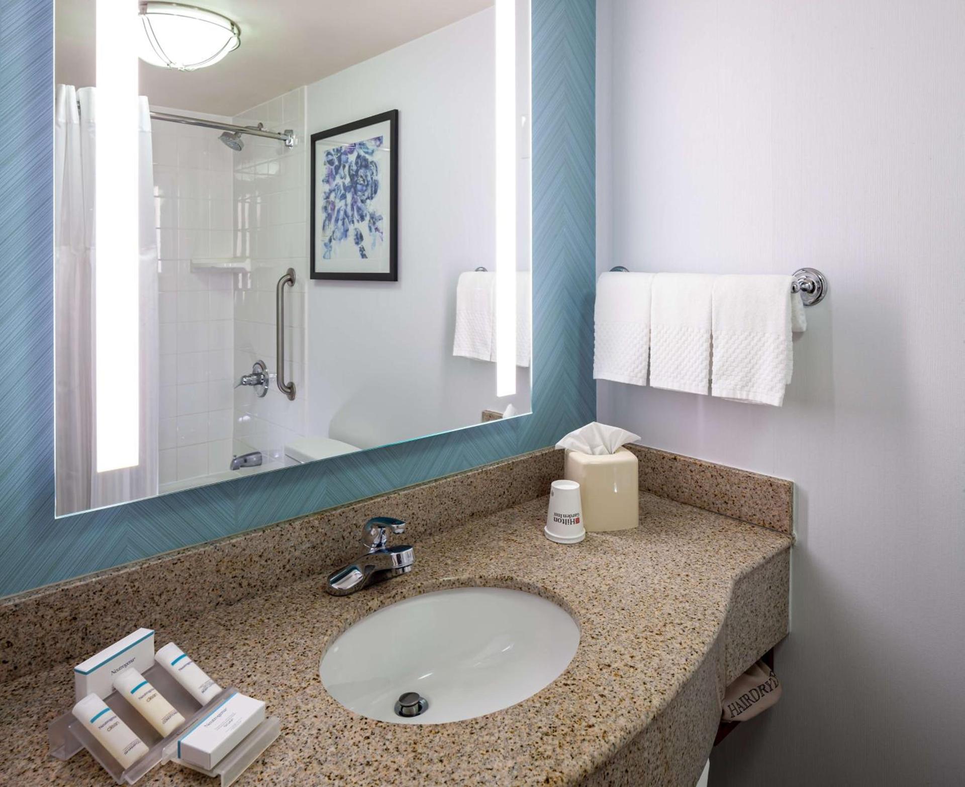 Hilton Garden Inn Chicago O'Hare Airport photo 25