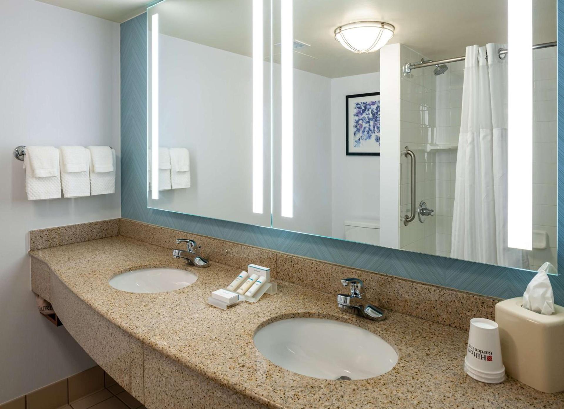 Hilton Garden Inn Chicago O'Hare Airport photo 29
