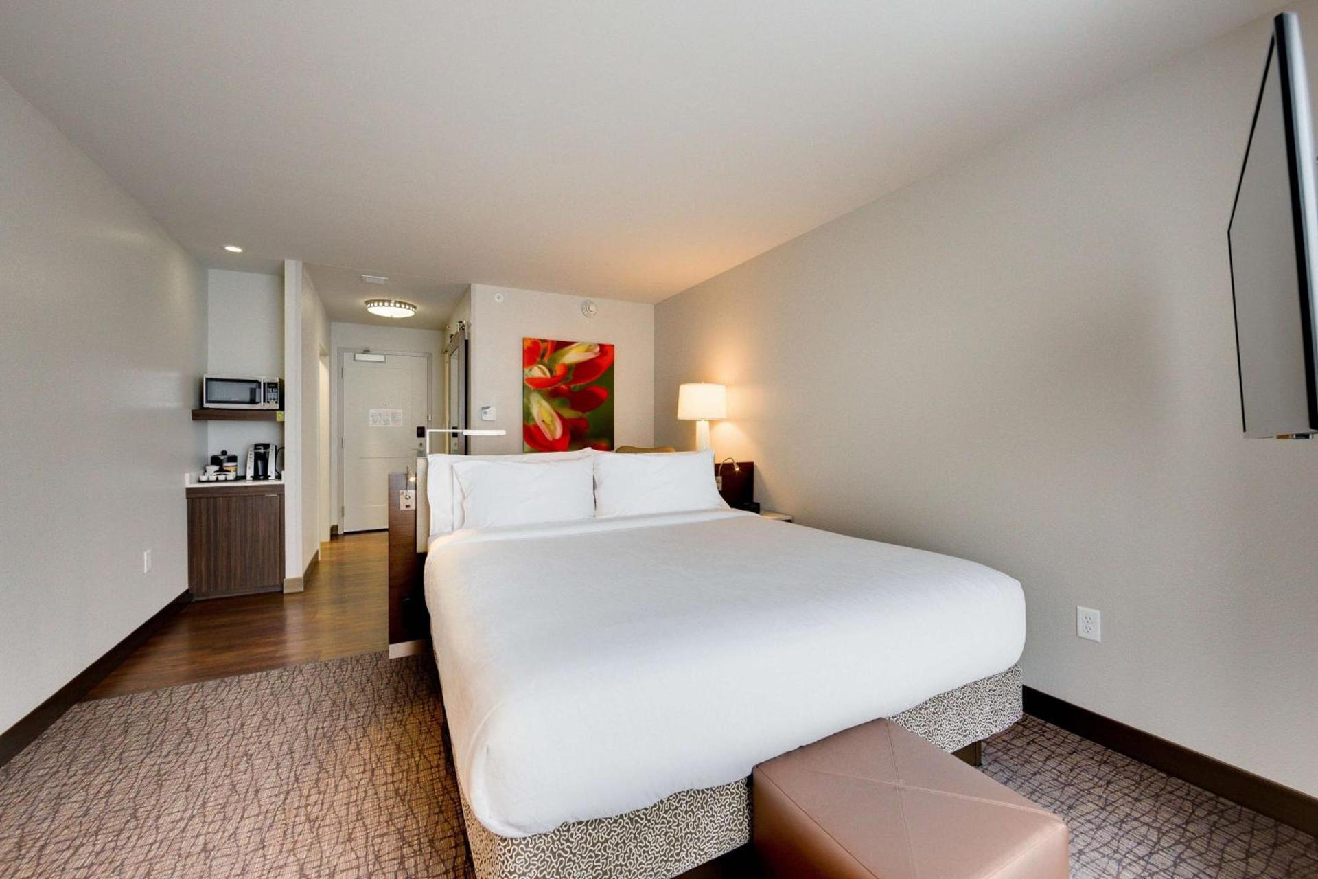 Hilton Garden Inn North Houston Spring photo 23