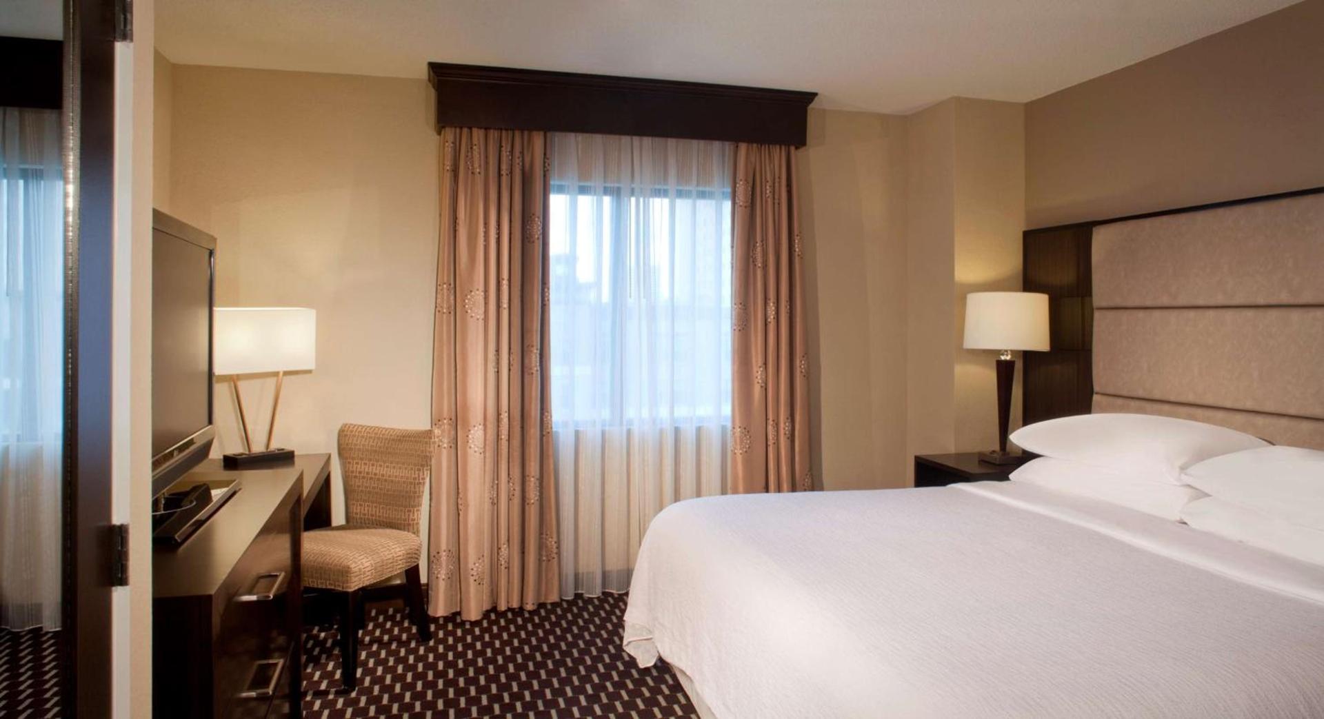 Embassy Suites by Hilton Houston Near the Galleria photo 18
