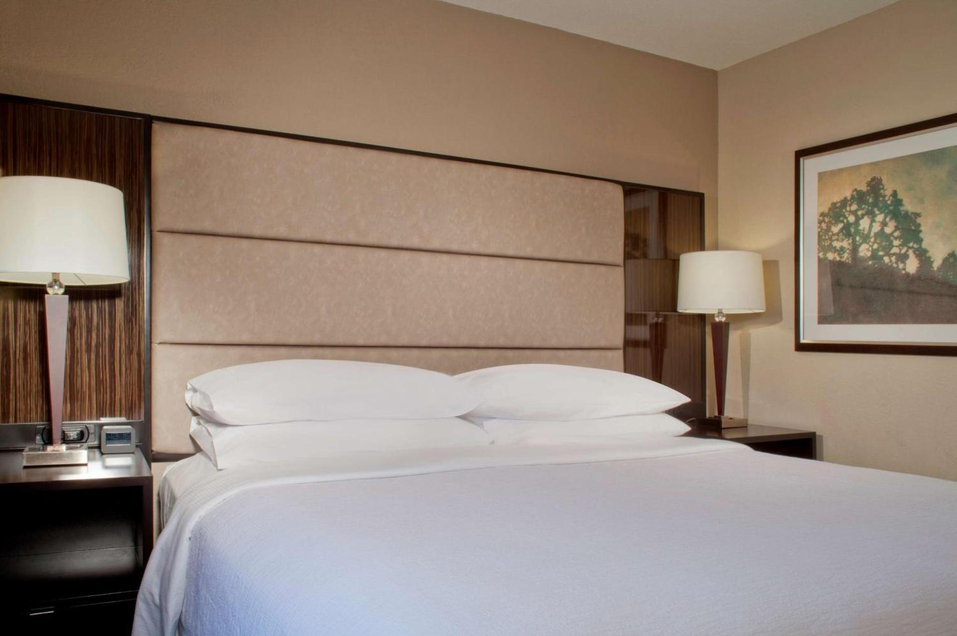 Embassy Suites by Hilton Houston Near the Galleria photo 19