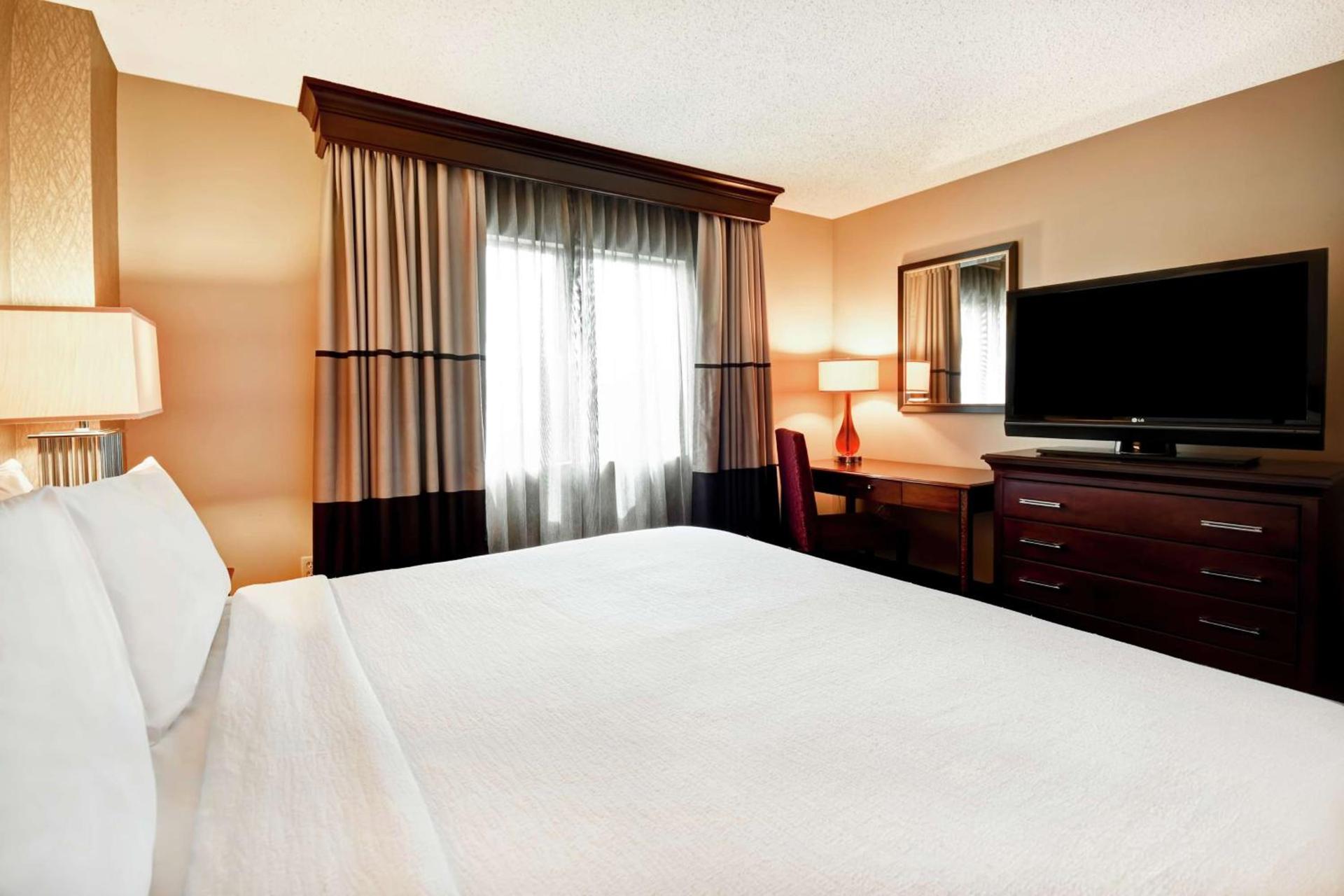 Embassy Suites by Hilton Dulles Airport photo 21