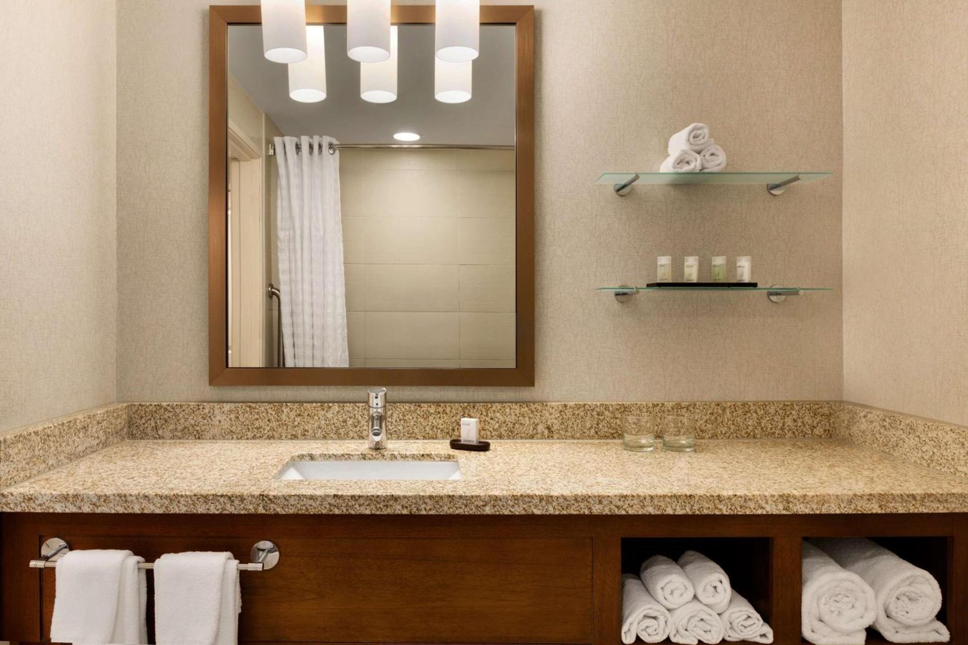 Embassy Suites by Hilton Denver Downtown Convention Center photo 17