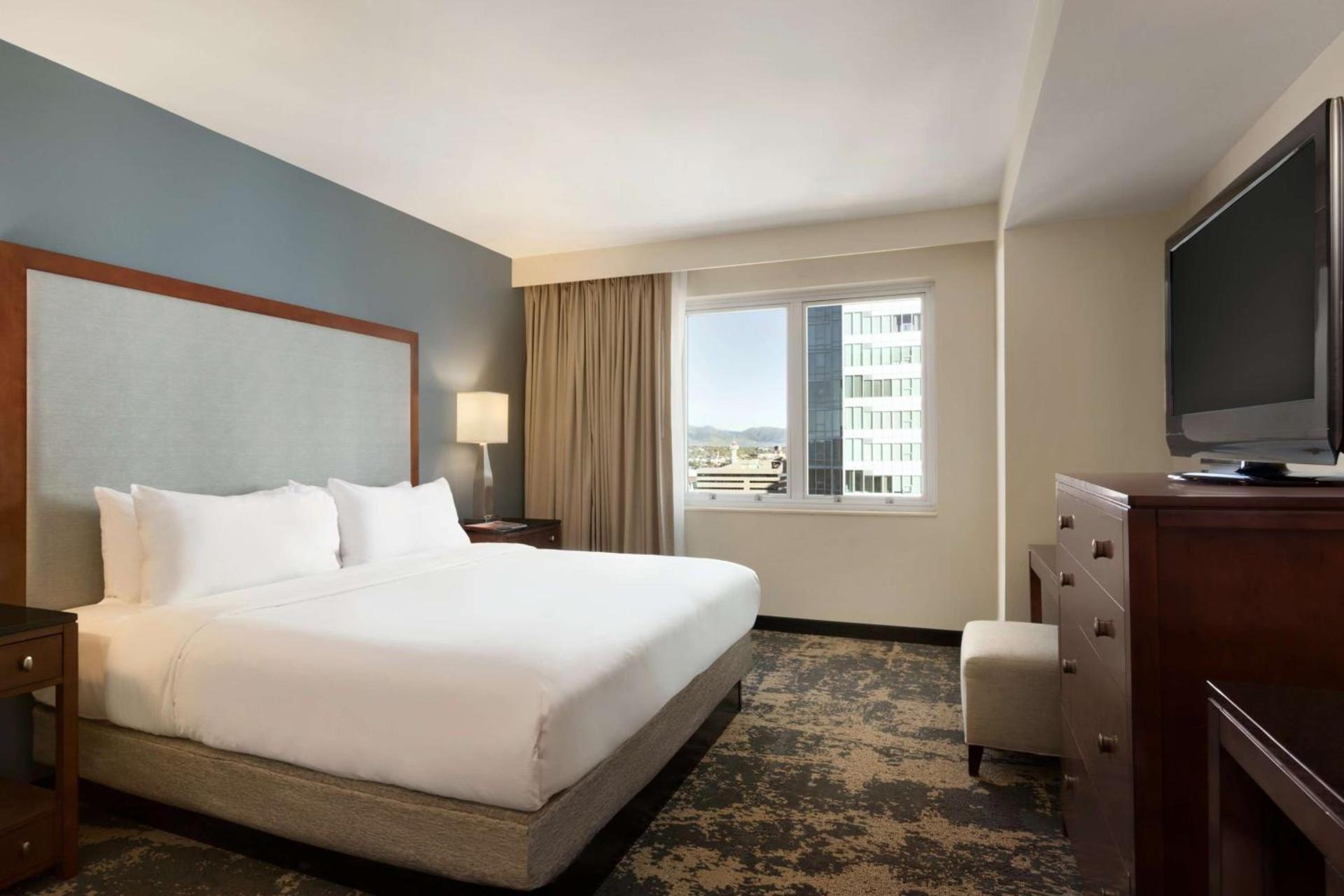 Embassy Suites by Hilton Denver Downtown Convention Center photo 2