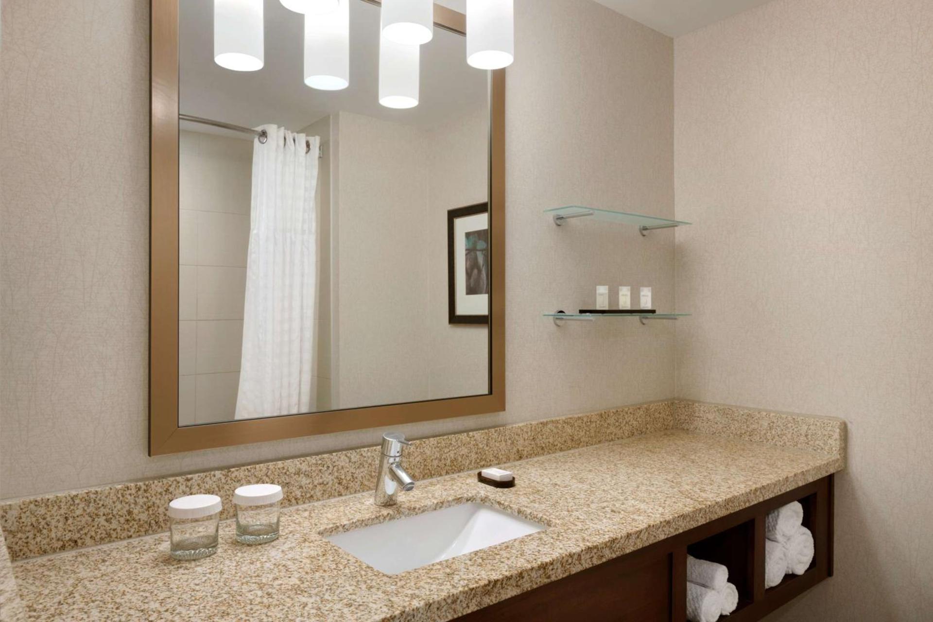 Embassy Suites by Hilton Denver Downtown Convention Center photo 21