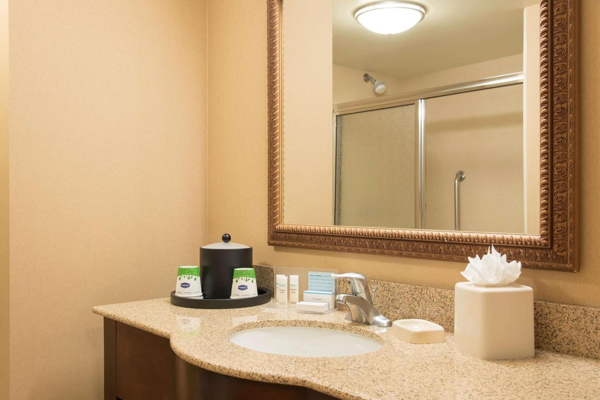 Hampton Inn & Suites Bloomington-Normal photo 22