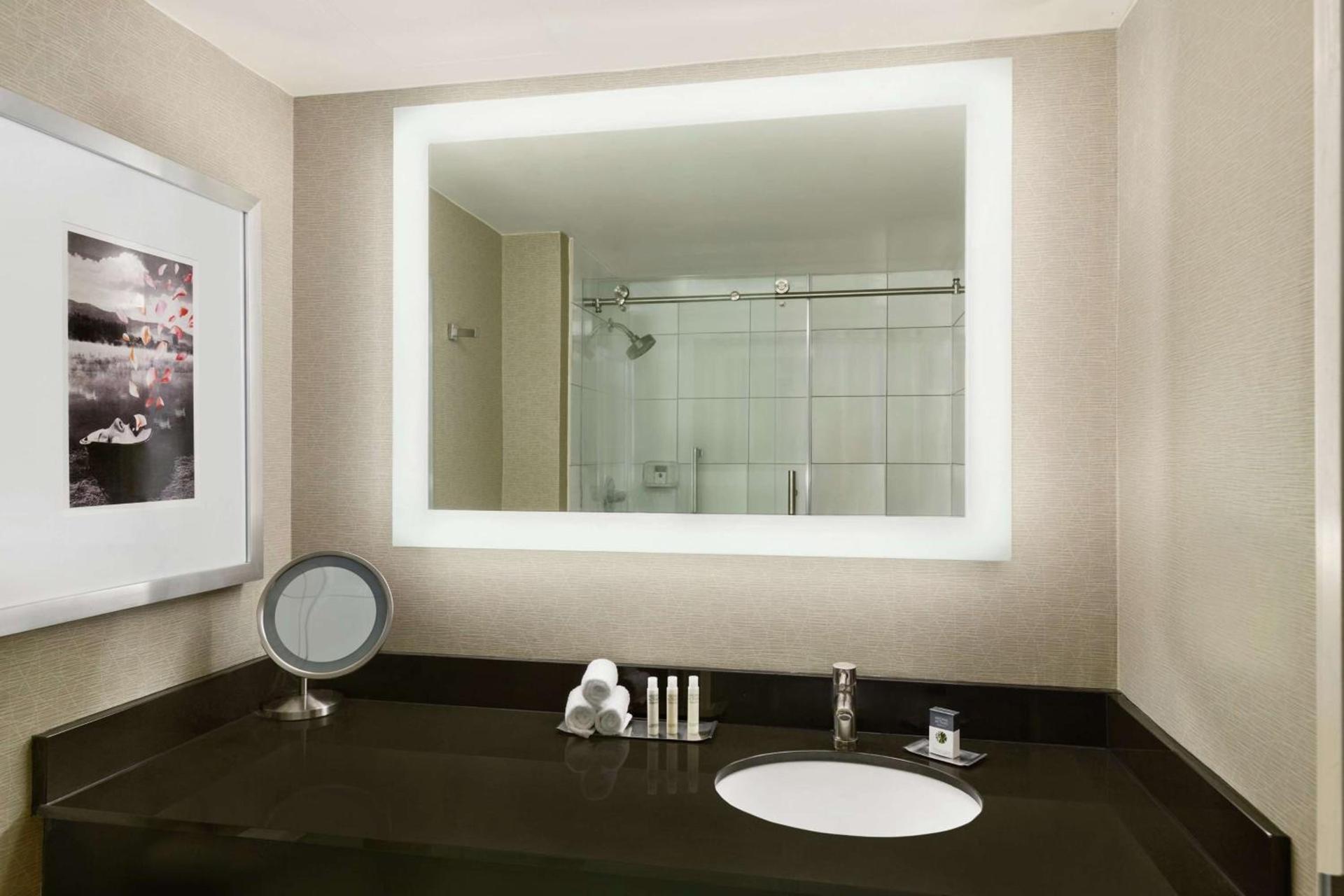 DoubleTree by Hilton Hotel Detroit Novi photo 14