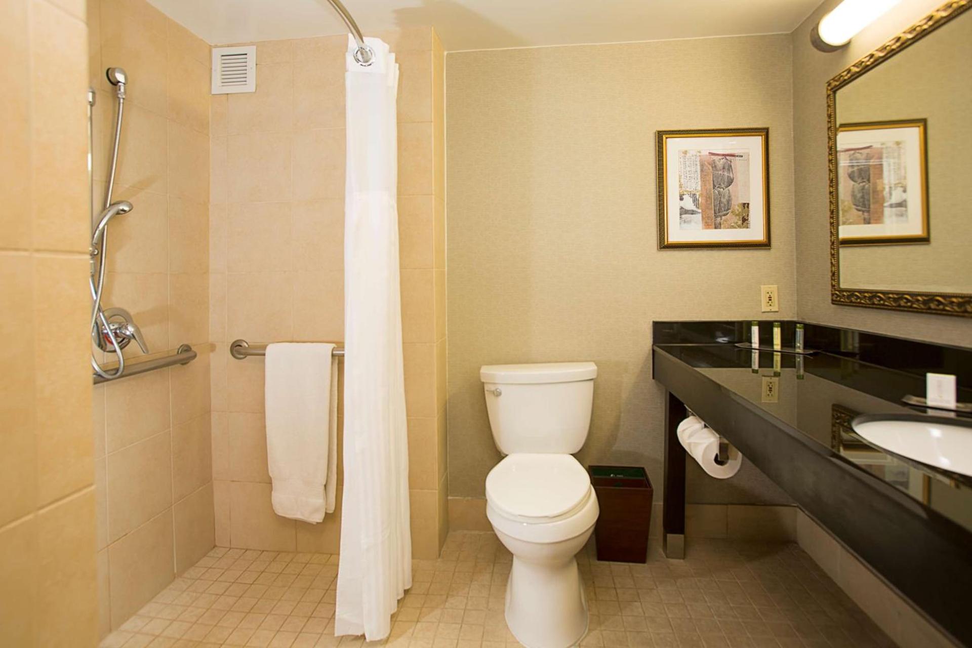DoubleTree by Hilton Hotel Detroit Novi photo 16