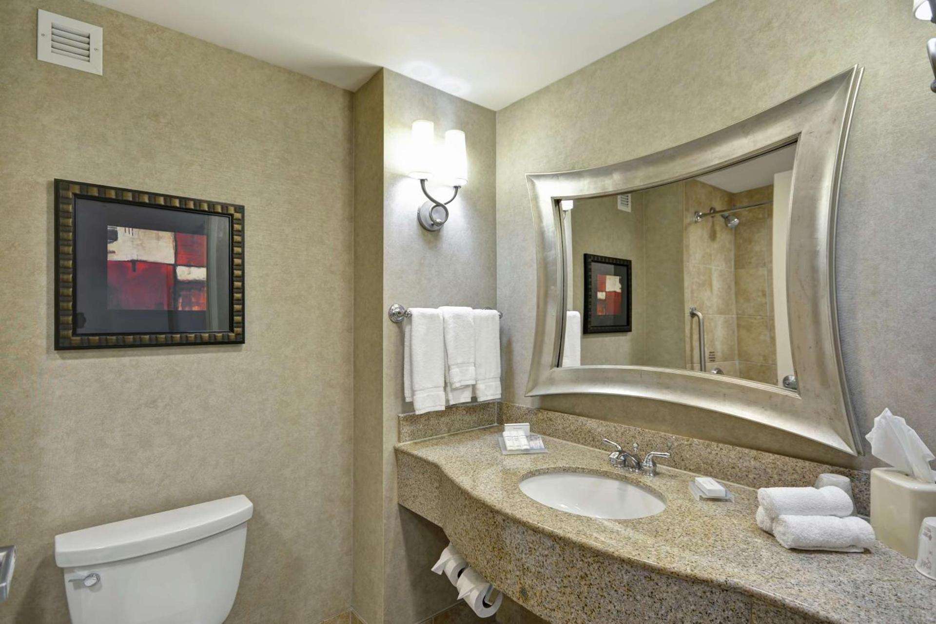 Hilton Garden Inn Toledo / Perrysburg photo 10