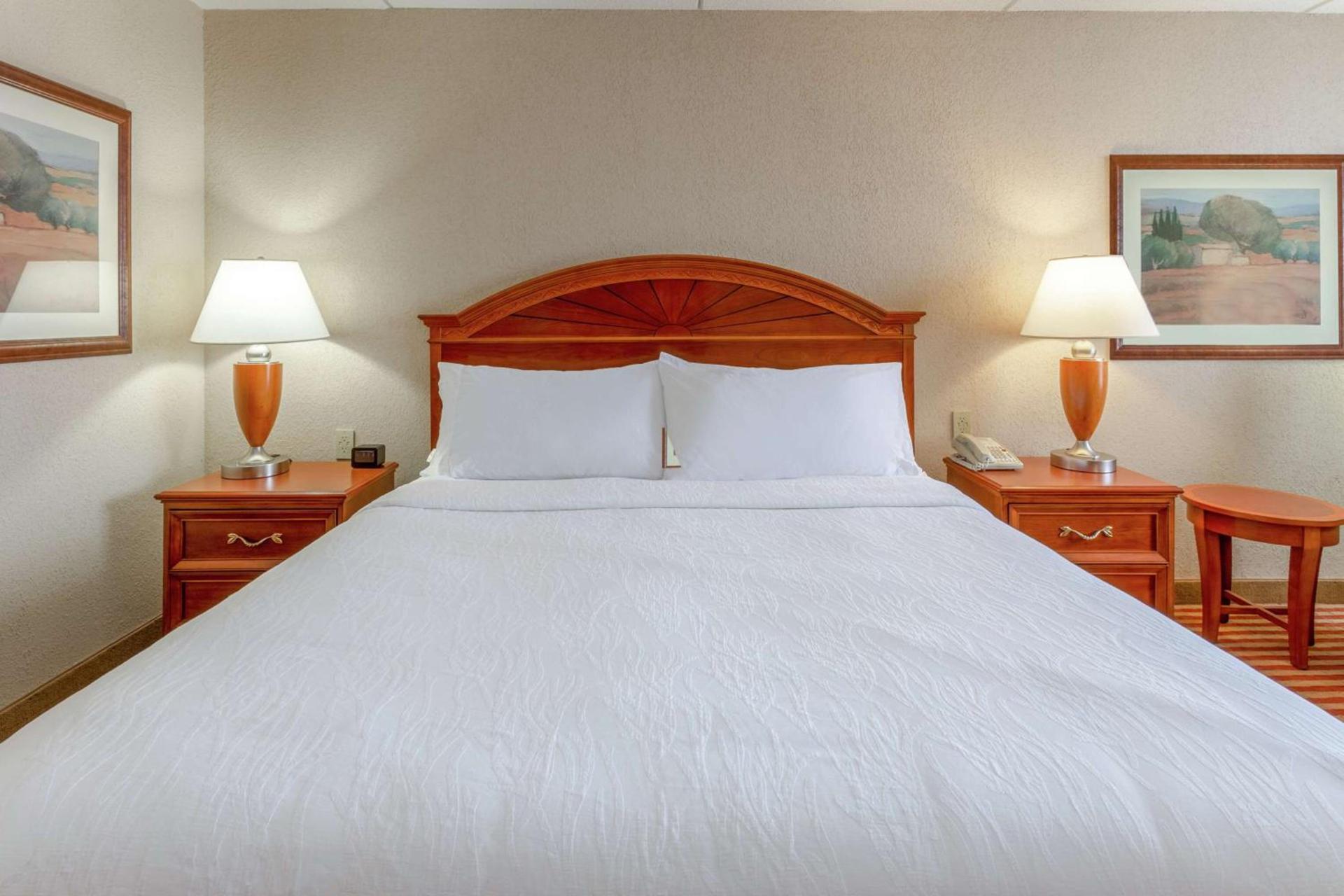 Hilton Garden Inn Richmond South/Southpark photo 19