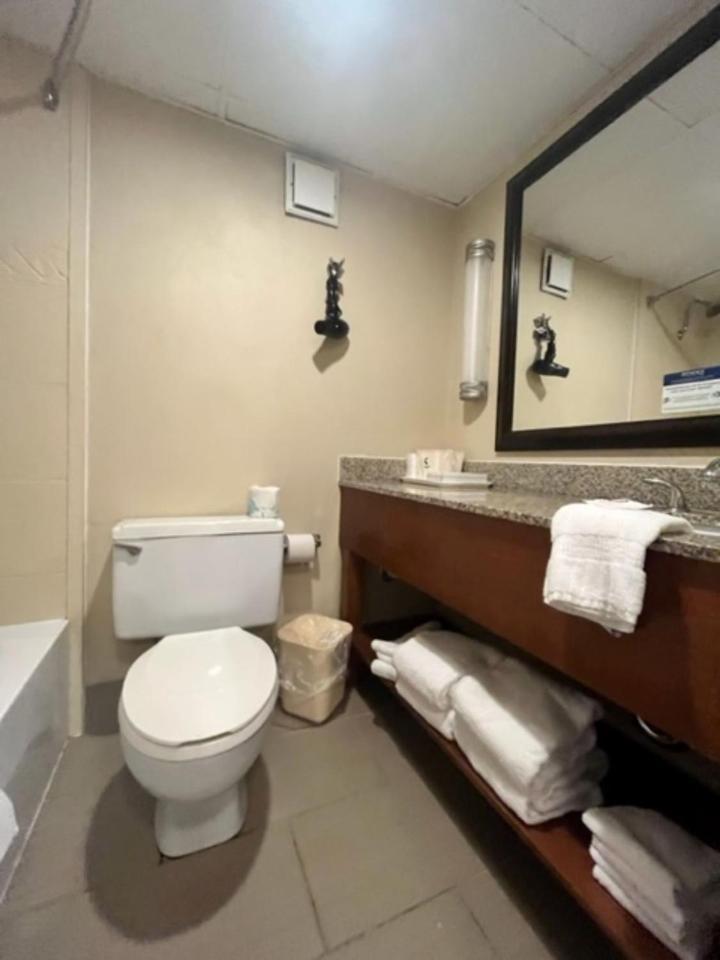 Comfort Inn Bloomington near University photo 34