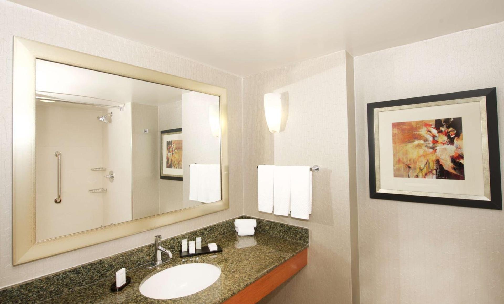 Embassy Suites by Hilton Detroit - Livonia/Novi photo 23