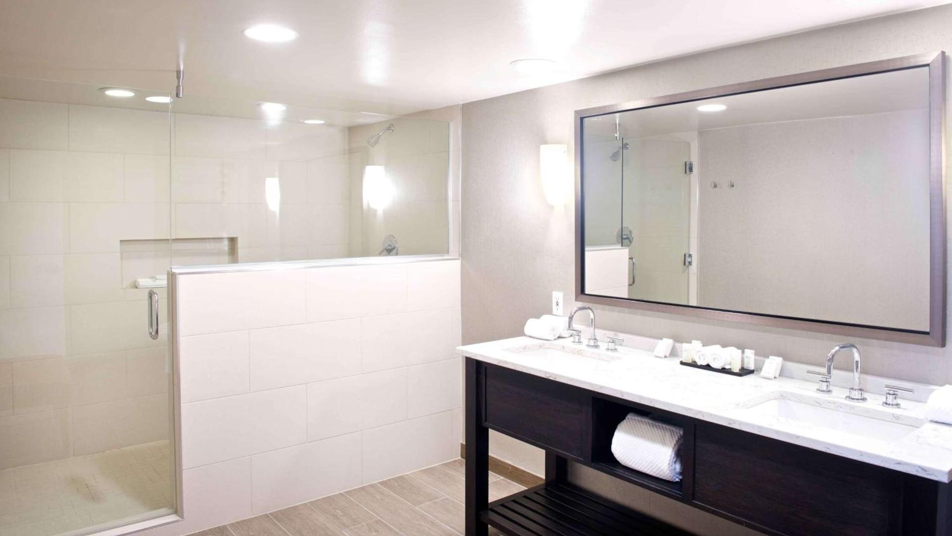 Embassy Suites by Hilton Detroit - Livonia/Novi photo 24