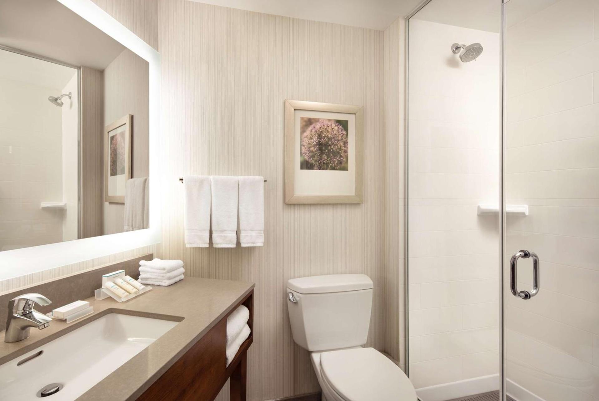 Hilton Garden Inn Long Island City photo 21