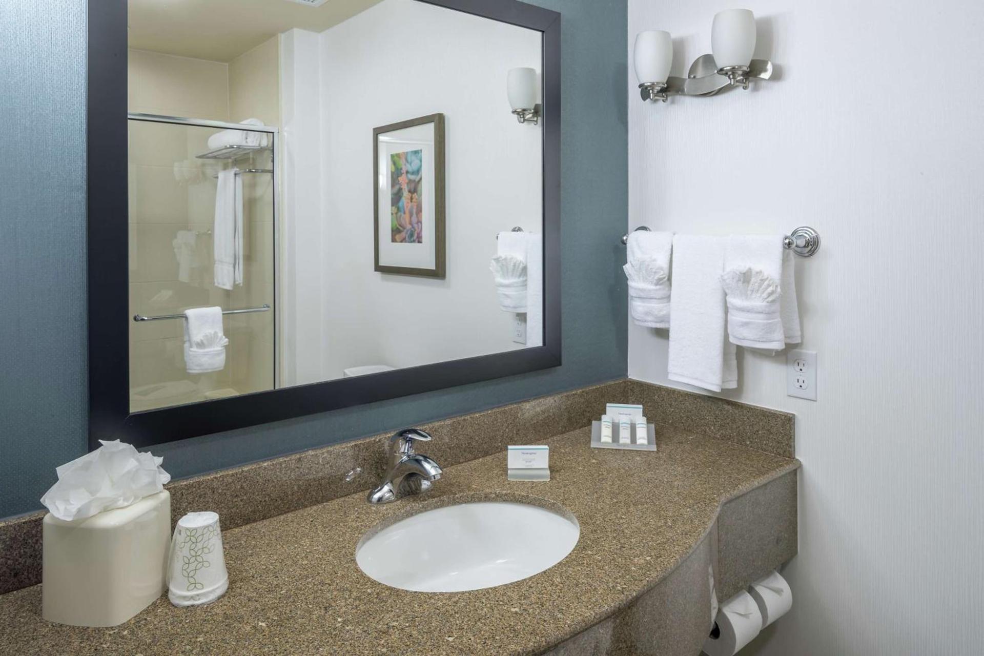 Hilton Garden Inn DFW North Grapevine photo 16