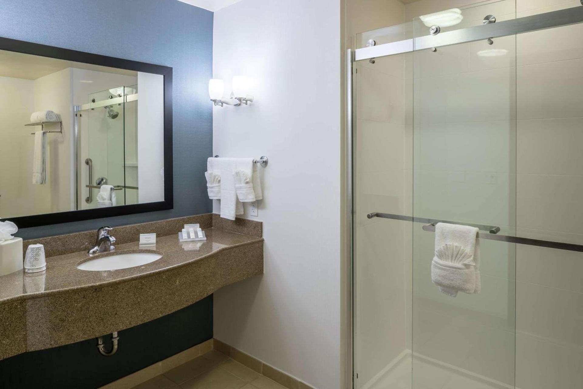 Hilton Garden Inn DFW North Grapevine photo 17