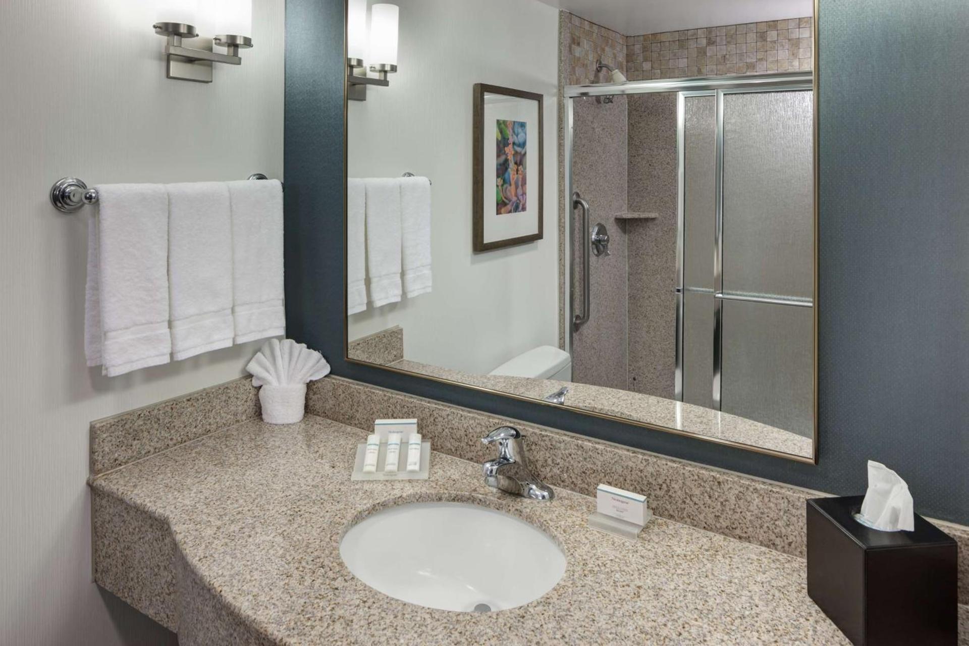 Hilton Garden Inn Tucson Airport photo 19