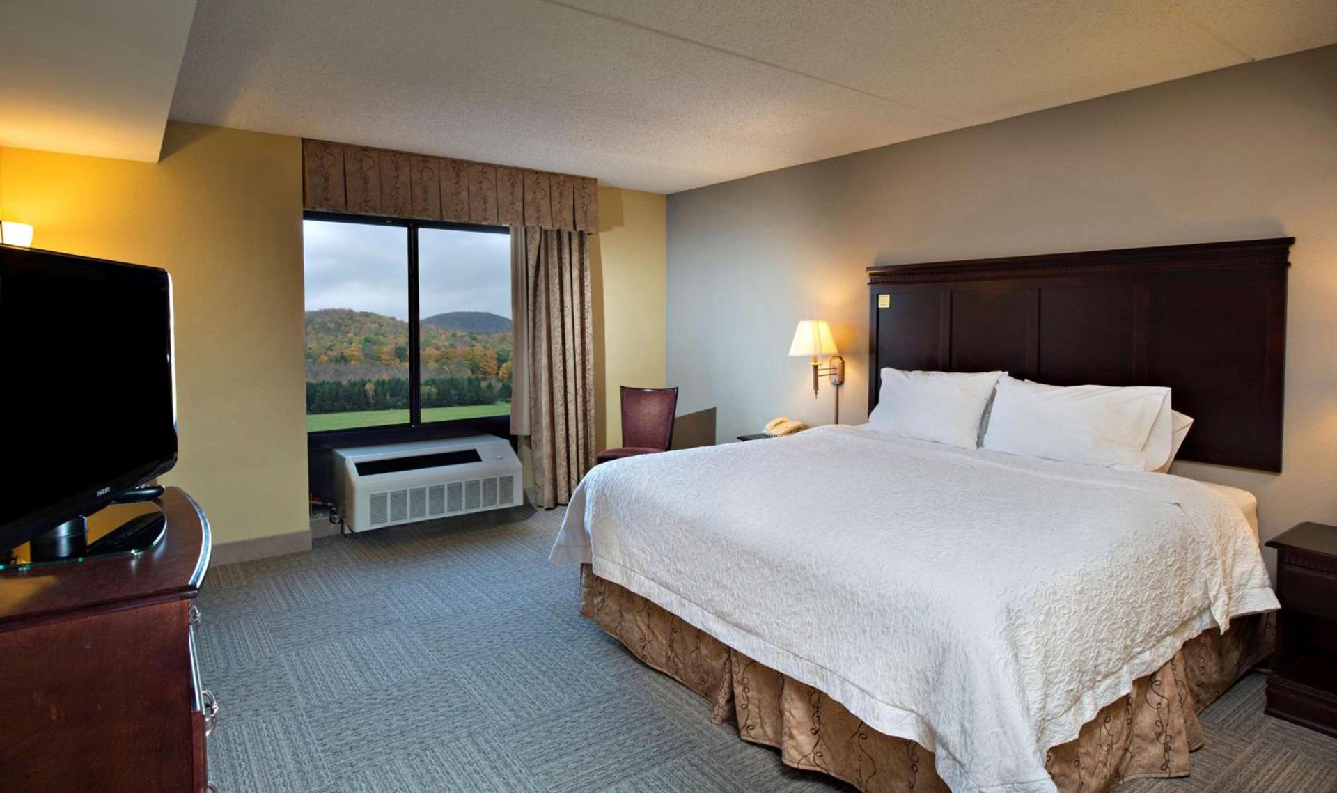 Hampton Inn Bennington photo 19