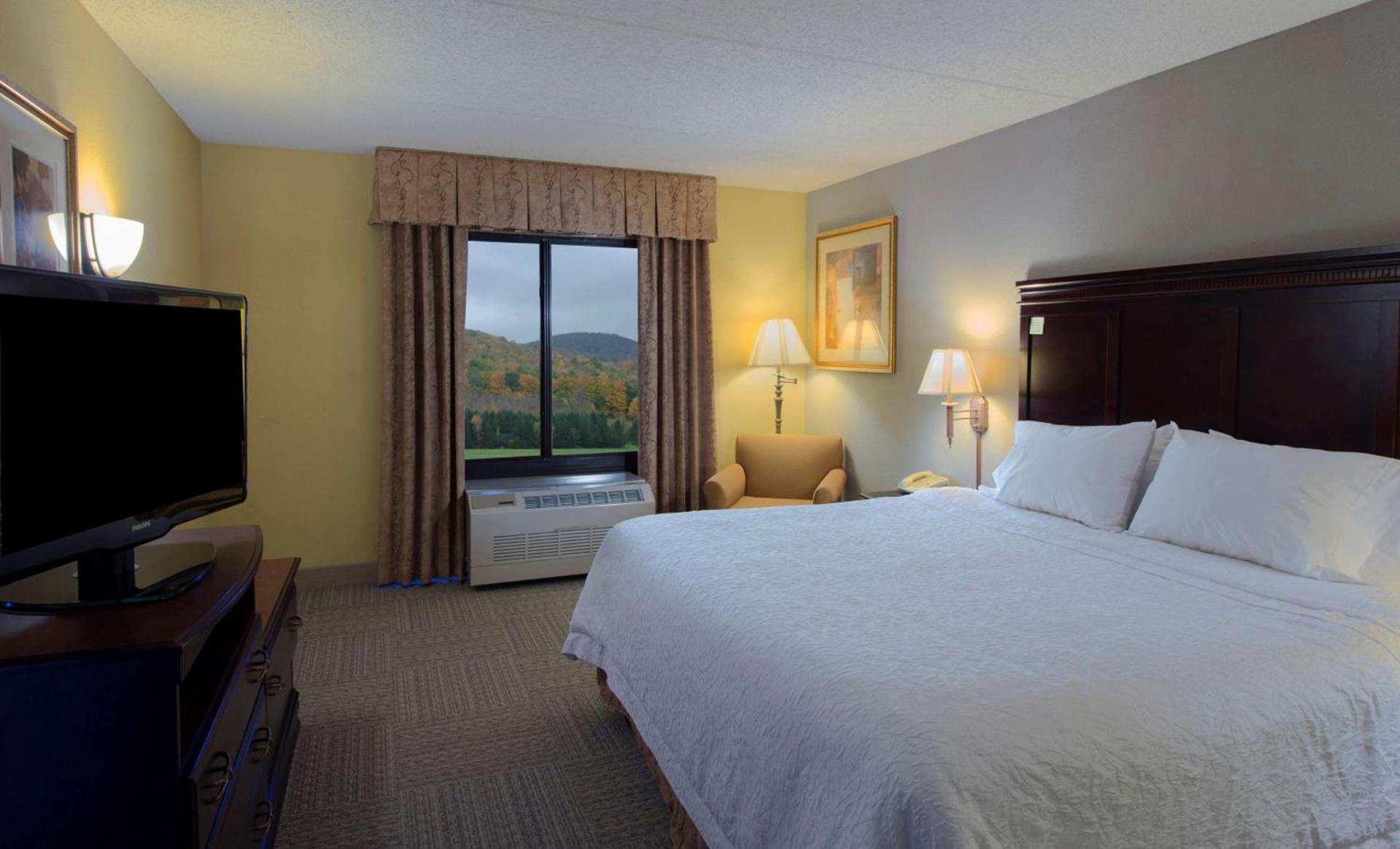 Hampton Inn Bennington photo 24