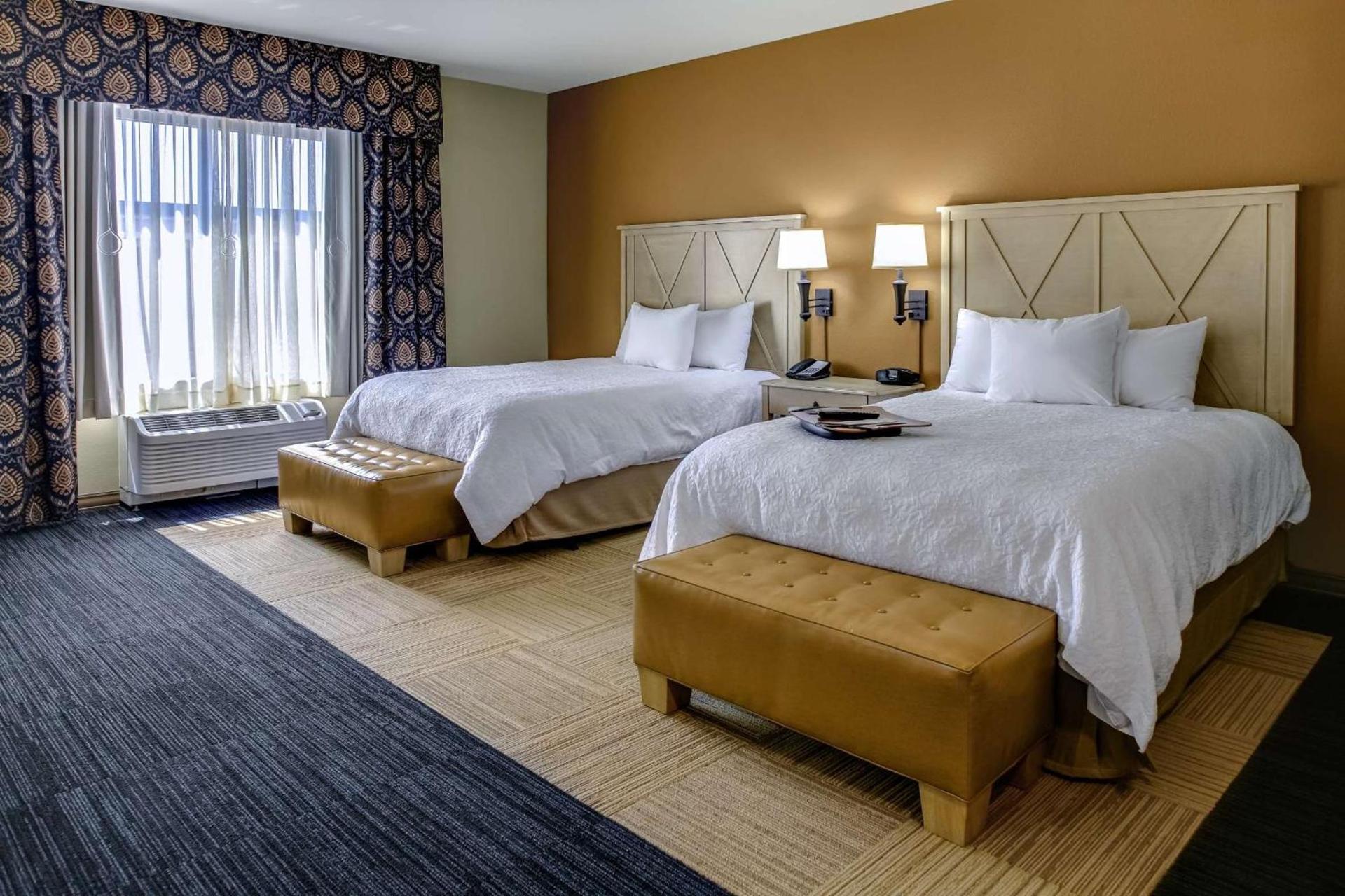 Hampton Inn & Suites by Hilton Dodge City Boot Hill Casino photo 50