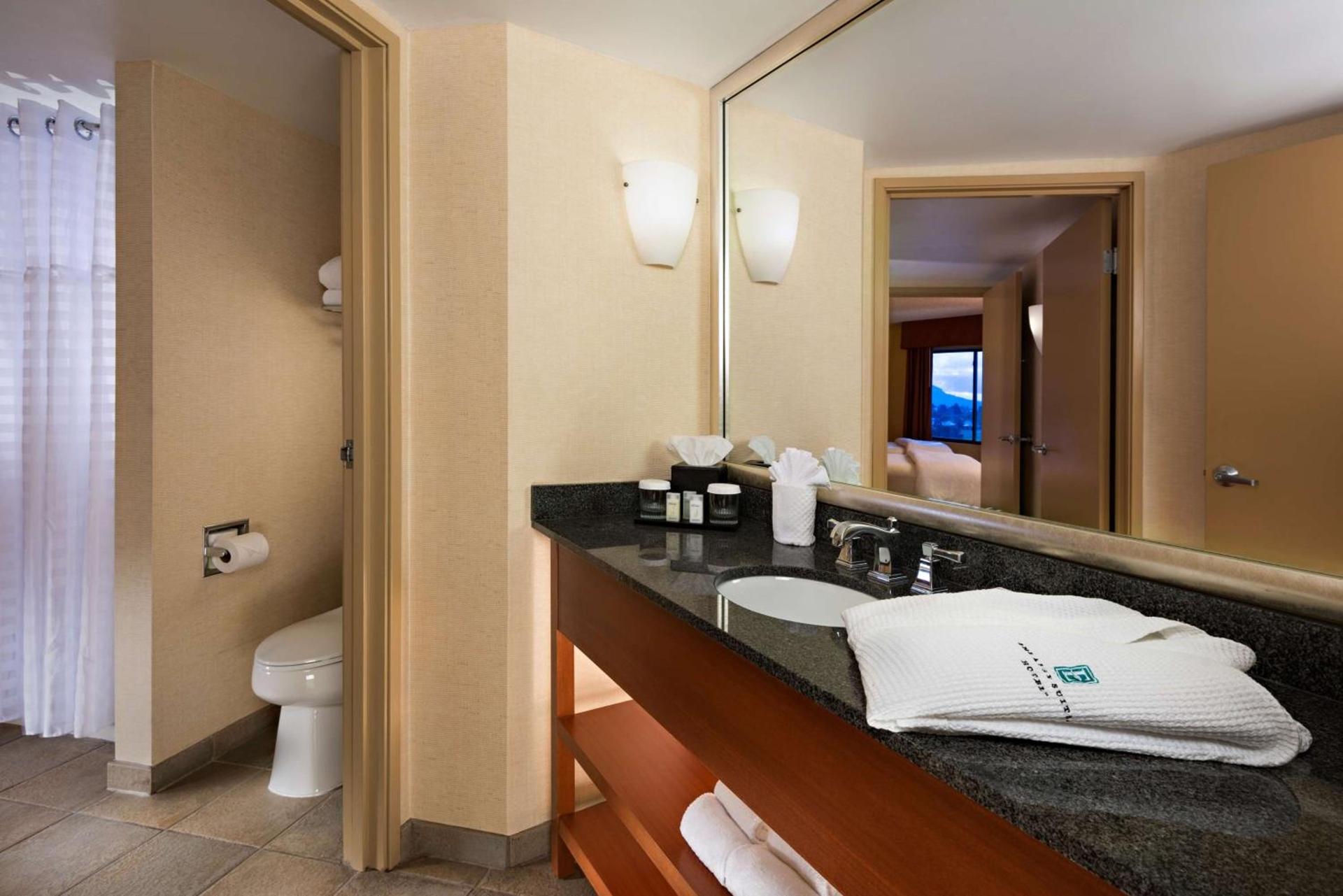 Embassy Suites by Hilton Phoenix Scottsdale photo 16