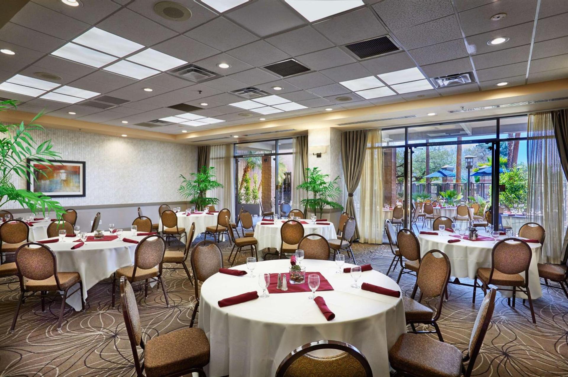 Embassy Suites by Hilton Phoenix Scottsdale photo 35